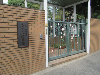 （６）さくら幼稚園の門を通過する